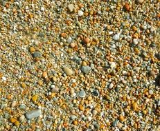 Pebbles Many Stones