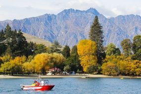 Beautiful nature in New Zealand