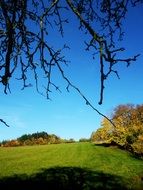 panorama of green meadows in the countryside