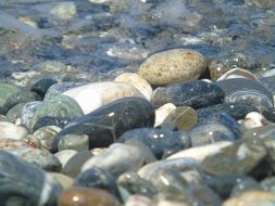 pebbles stones in the water