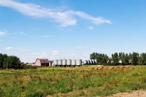 Rural life on a farm