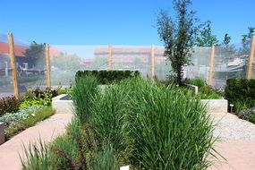 plants in the nursery