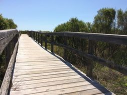 boardwalk like a pedestrian bridge