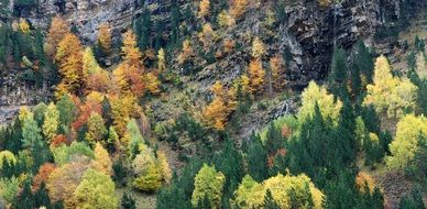 colorful Autumn Forest on Mountain side, picturesque landscape