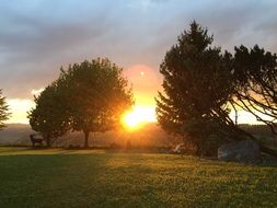 landscape of bright setting sun in the crowns of trees