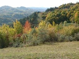 panoramic view of the picturesque hills on an autumn sunny day
