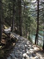 Hiking trail on a mountain