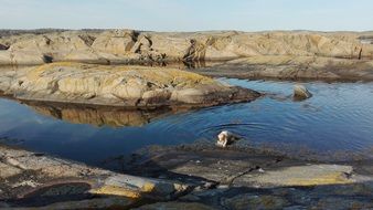 Archipelago Water Landscape