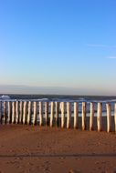 wooden breakwater on a sandy beach in the netherlands