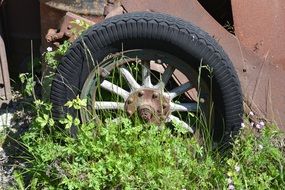 Old car wheel in a grass