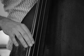 monochrome photo of musician with instrument at a festival in hamburg