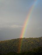 colorful rainbow over a green forest on a sunny day