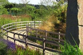 Path in a garden