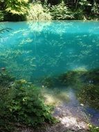 lake with turquoise water in the forest