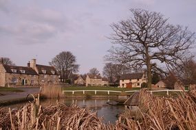 rustic pond in barrowden
