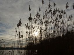 Landscape Lake