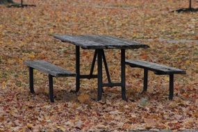 wooden table and bench in the autumn park