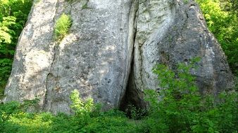 rock among green trees in poland