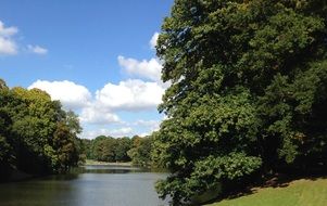 pond among green trees on a sunny day