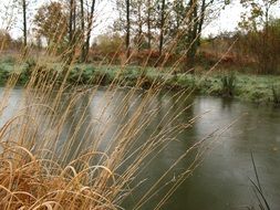 picturesque Pond