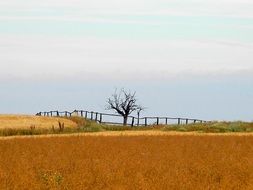 Landscape Pen Tree