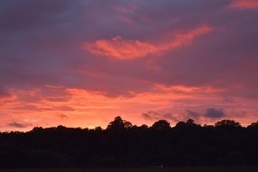 colorful sunset over black silhouettes of trees