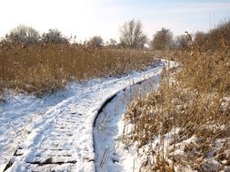 Snow Track Winter