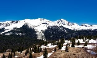 Forest panorama of snowy mountains in Colorado