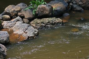 Rocks In Stream Water