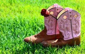 rose in pink boots on the field