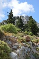 green trees on rocky hills in Greece