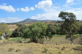 scenic landscape in the countryside on a sunny day