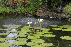 Hue Vietnam