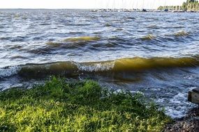 waves on the lake on a sunny day