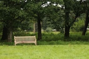 bench in the peaceful park