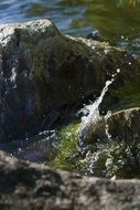 Water Stone Splash