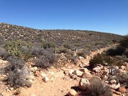 delightful Red Rock Desert