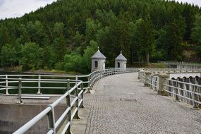 forest near barrier wall at Neustadt dam, germany