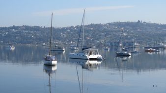 Boats Knysna Water Sea Ocean