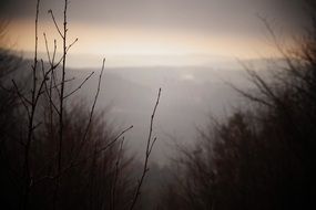 Landscape with the fog in winter