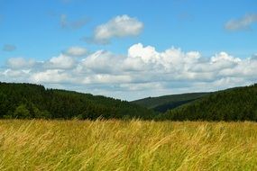 yellow field near the hills