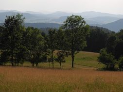 Landscape Hills View Colors