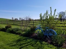 blue bicycle as a decoration for a farm