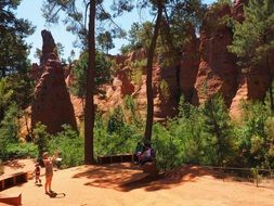 pine forest and ochre rocks