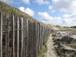 Dune Path