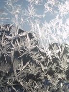 Ice flowers on window glass