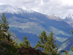 high mountains with green trees