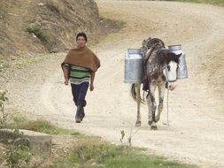 Transporte Leche perú