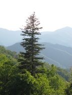 mountain landscape in a sunny haze