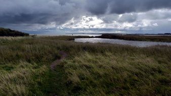 green coast near the river